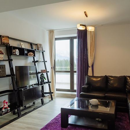 Panoramic Loft Colina Marei Apartamento Sinaia Exterior foto