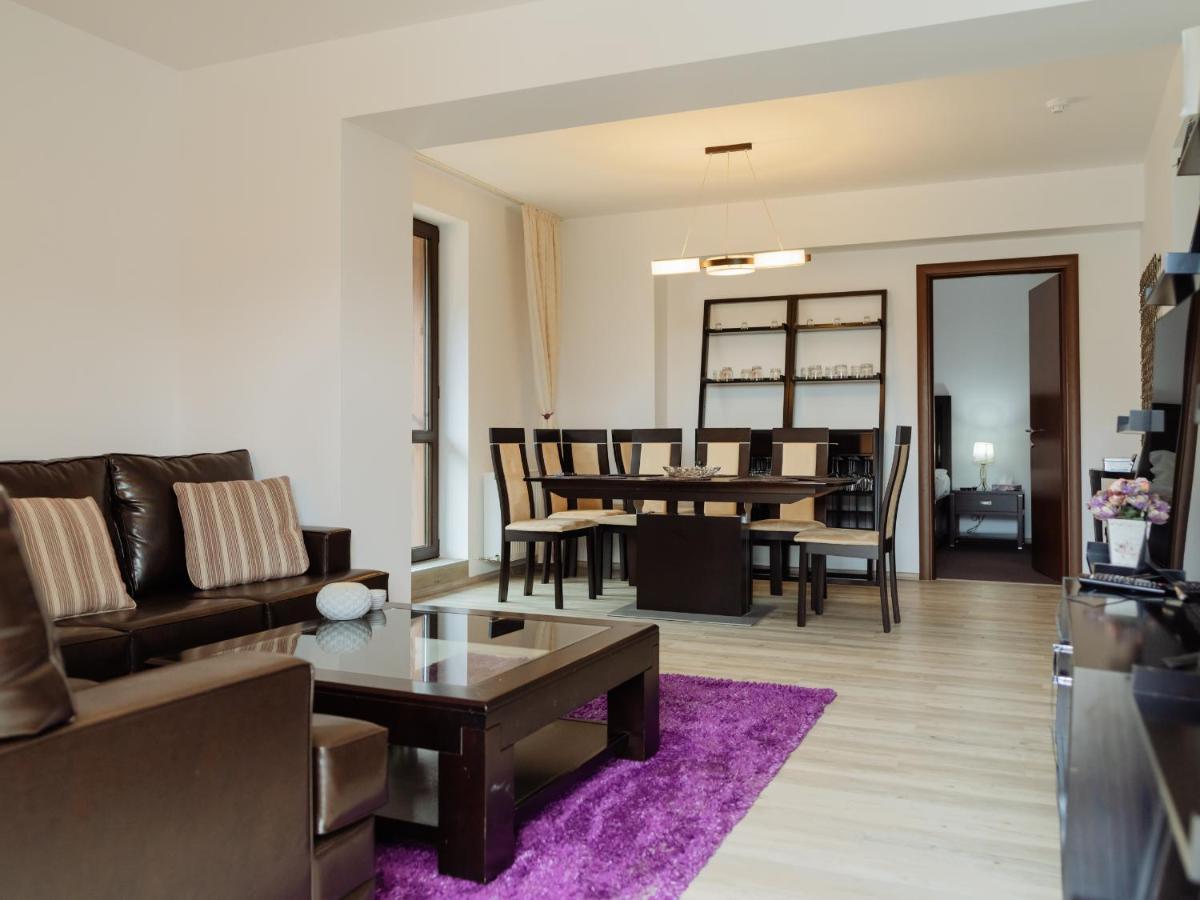 Panoramic Loft Colina Marei Apartamento Sinaia Exterior foto