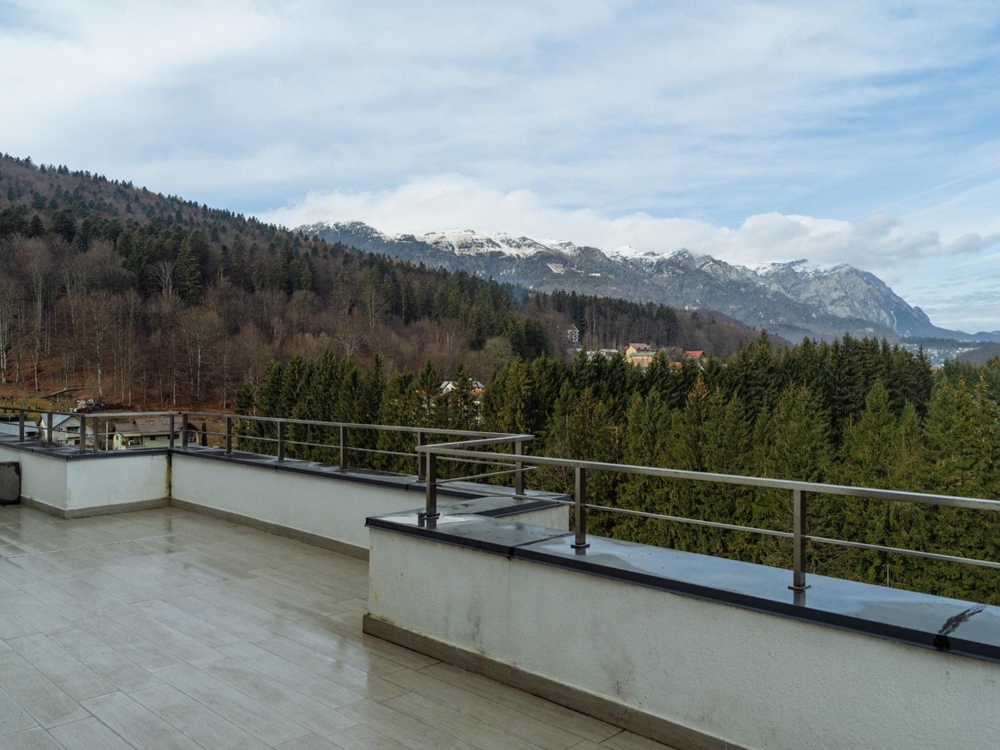 Panoramic Loft Colina Marei Apartamento Sinaia Exterior foto